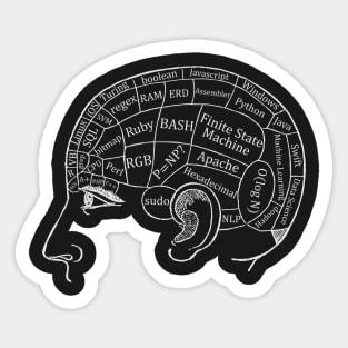 Computer Science Brain Sticker